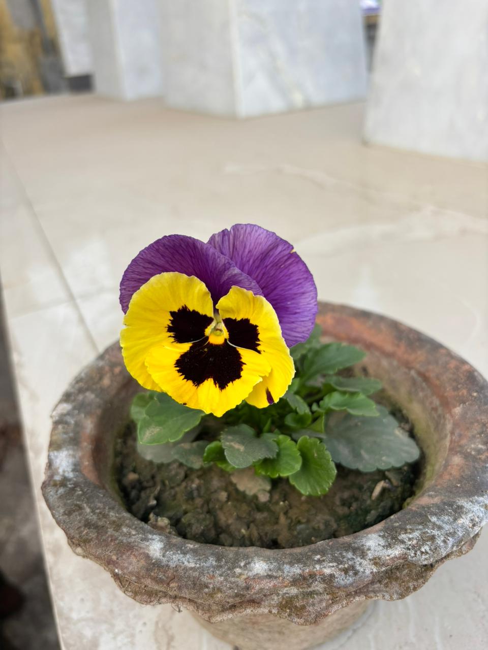 New Water Wells Completed in Rural Areas